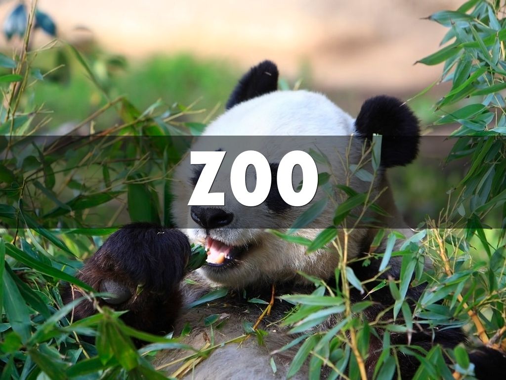 ZOO