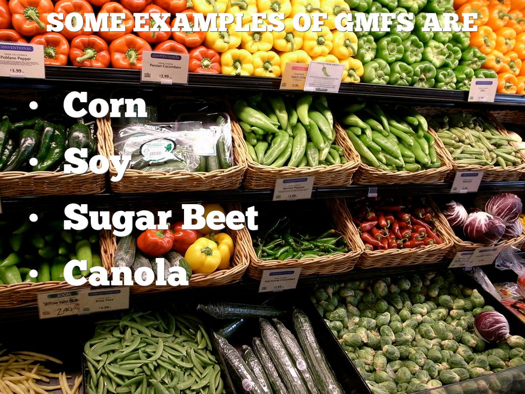 Modified Foods by Kate Henderson