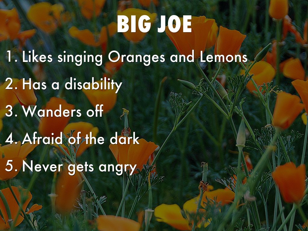 Private PeacefulBrady by bpalrox8