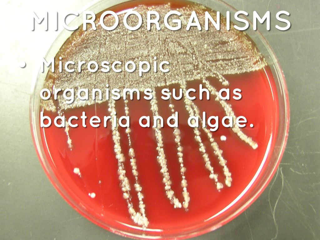 Trestrail Envoirments