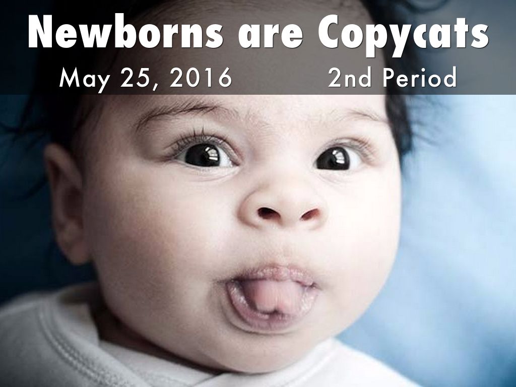 Newborns are Copycats