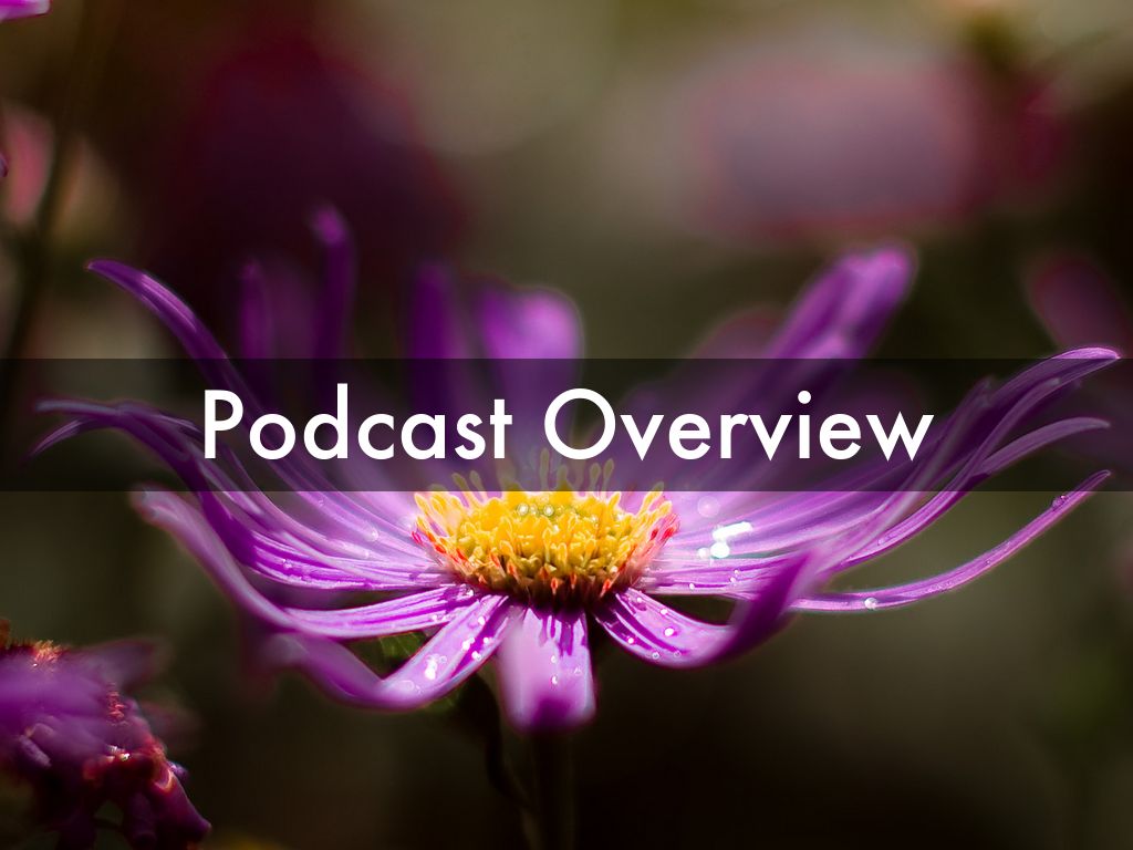 Podcast Overview