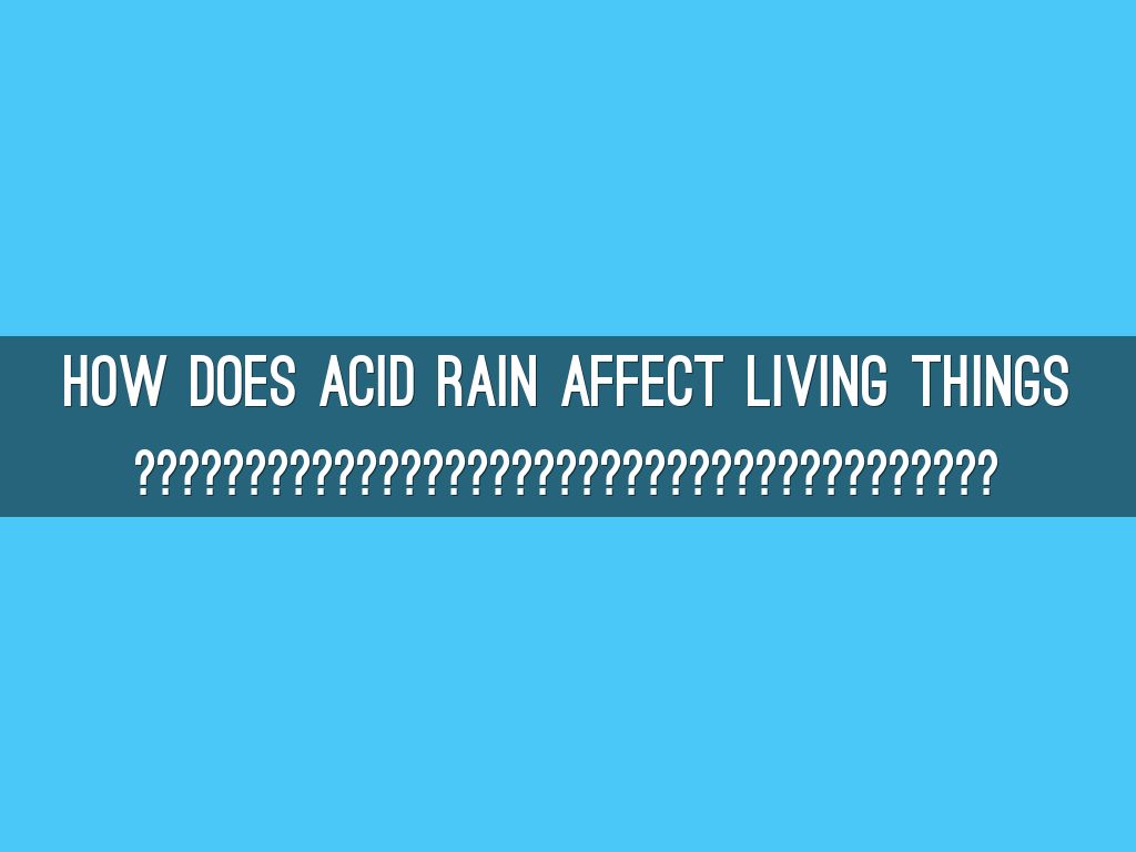 What does Acid rain do to living things by maggie_s