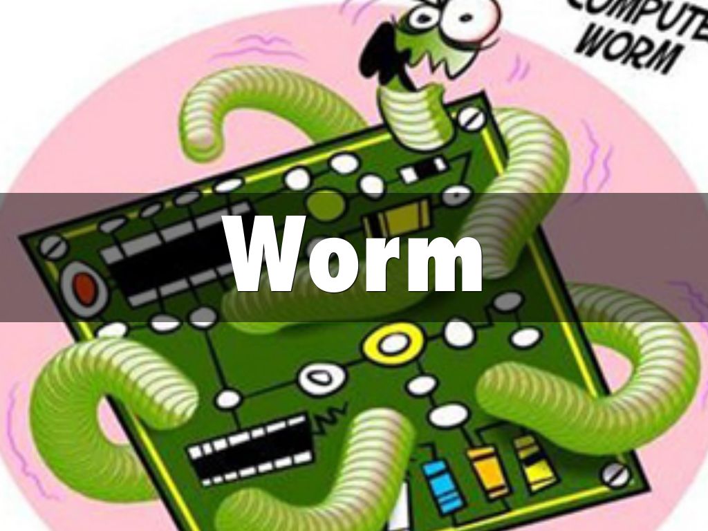 what is the morris worm virus