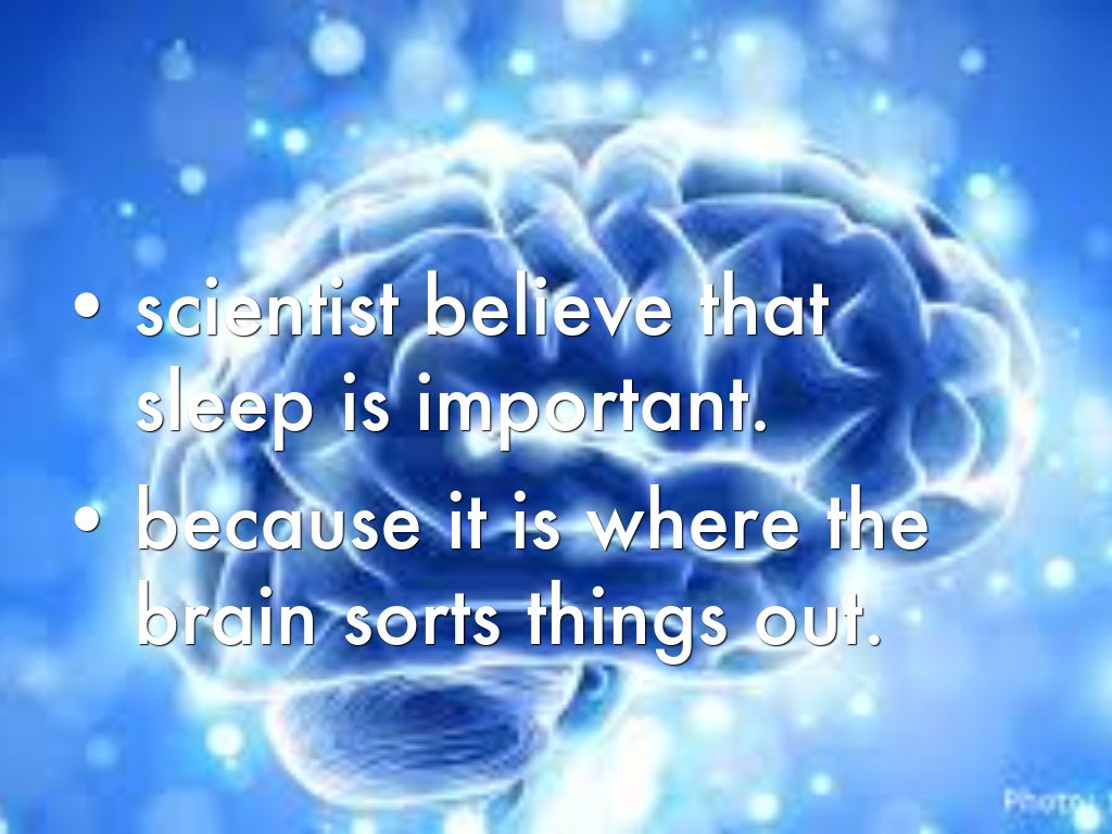 Why do we sleep? by lino_garza