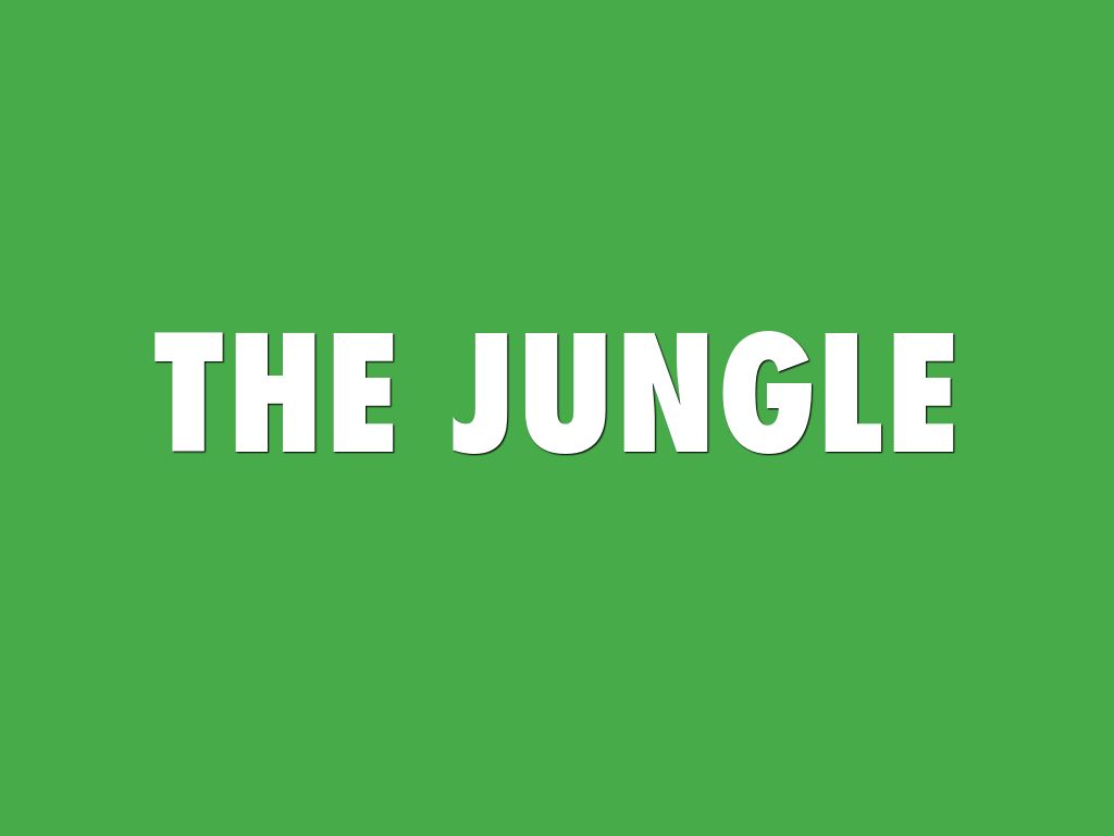 Jungle
