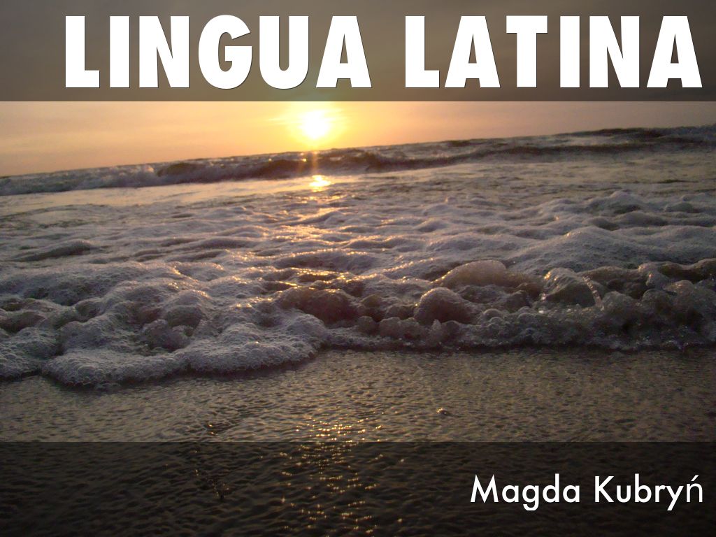 Lingua latina by Magda Kubryń