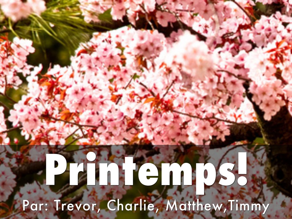 Charlie, Matthew, Trevor, and Timmy