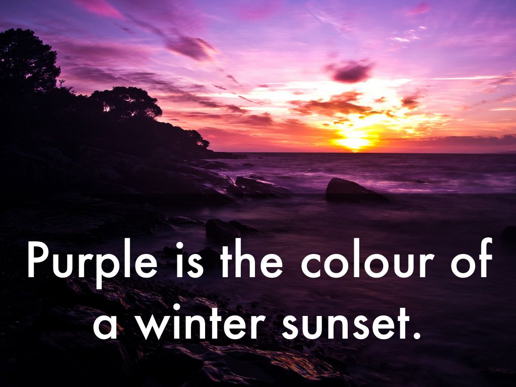 Purple Is...