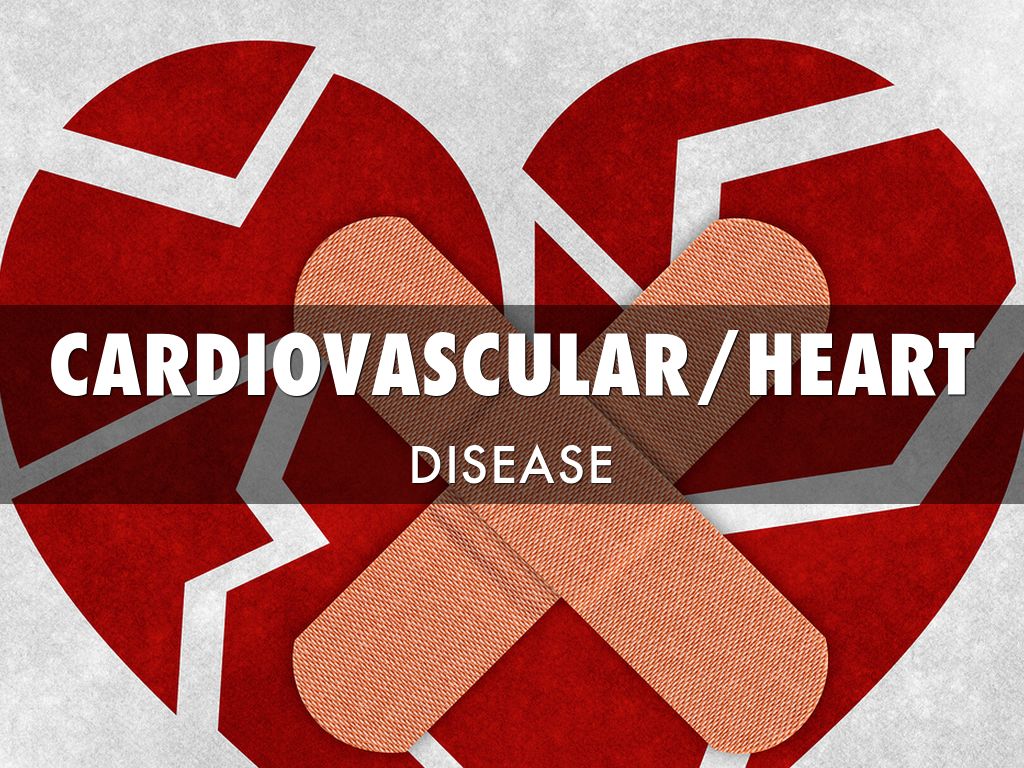 Cardiovascular Disease And Heart Disease
