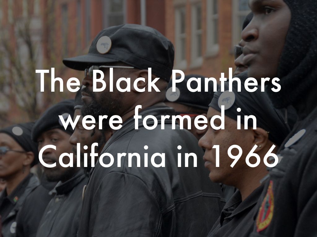 The Black Panthers