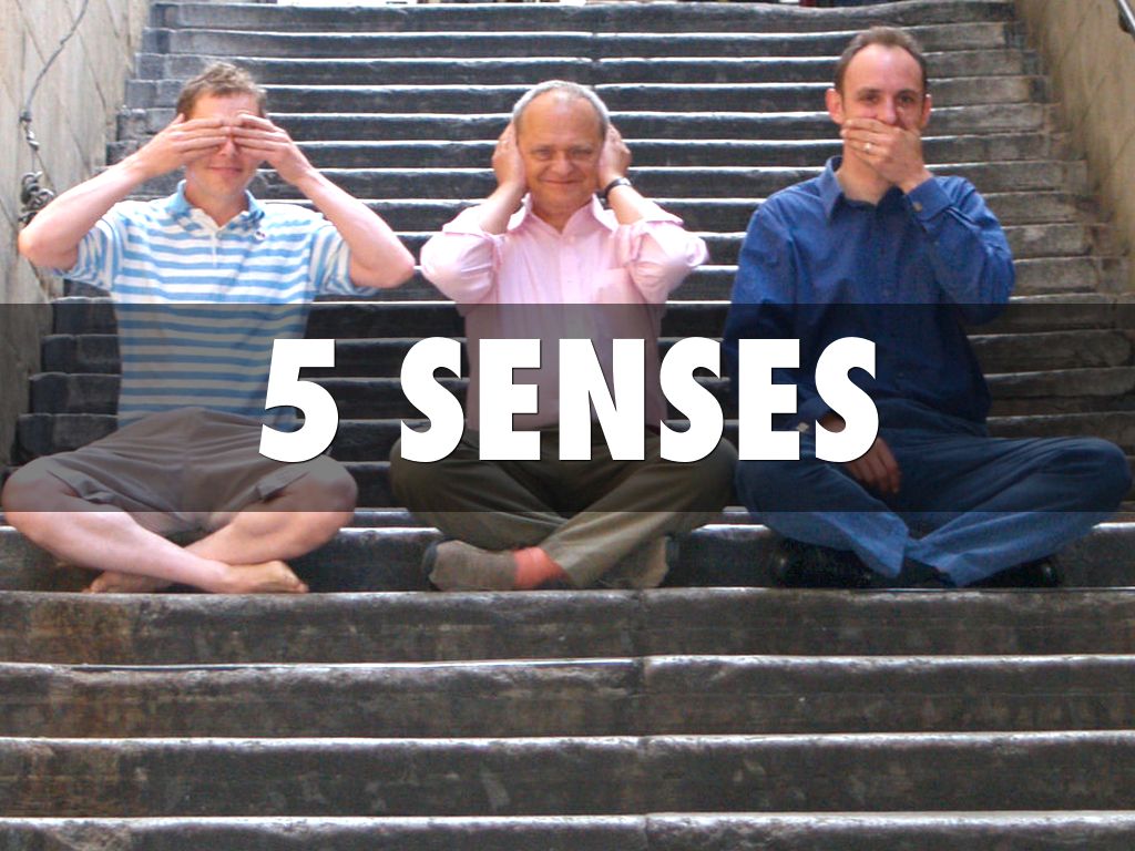 5 Senses