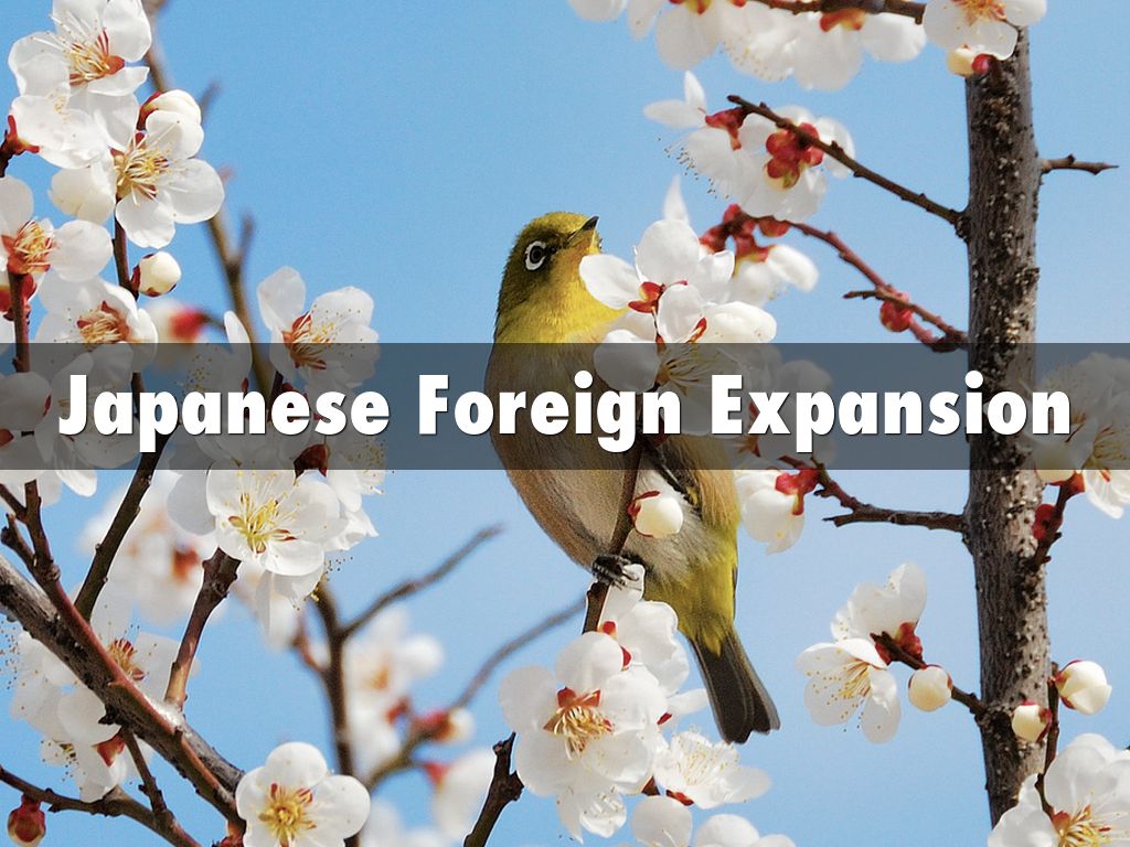 Japanese Foreign Expansion