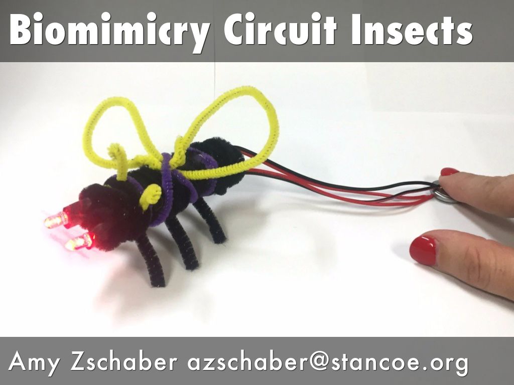 Biomimicry Circuit Insects