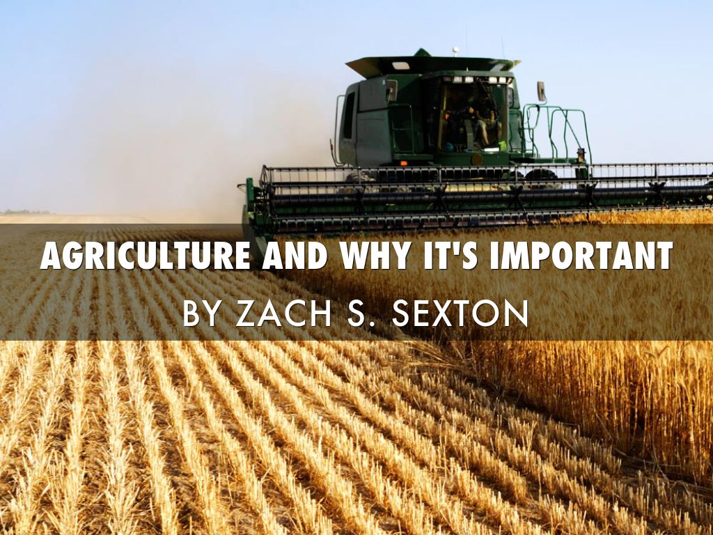 Agriculture: Why Is It Important? by Zach Sexton