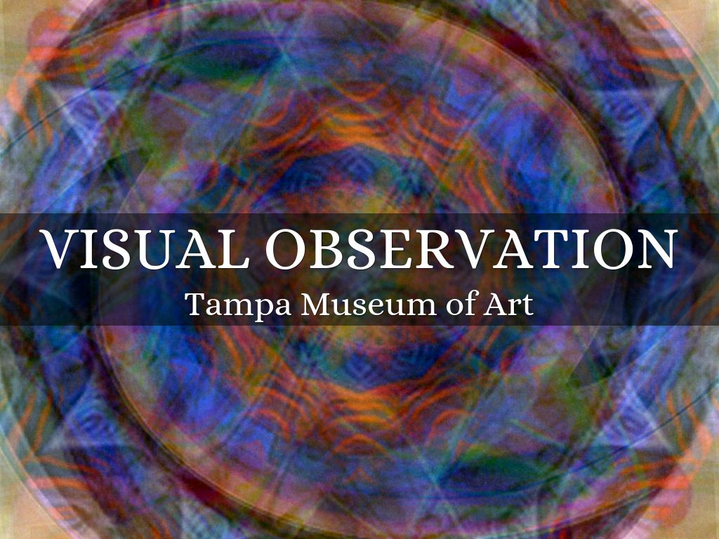 visual Observation by Stephanie