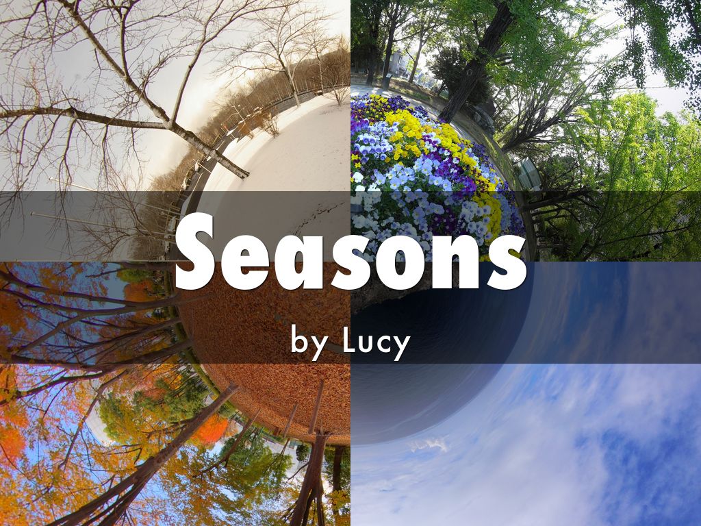 Seasons