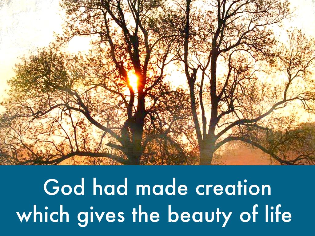 Copy of Creation 3b KK