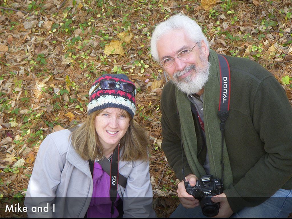 Copy of Nature Walk: The Intersection of Science and
