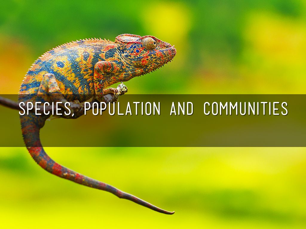 Species, Population and Communities by Stephanie