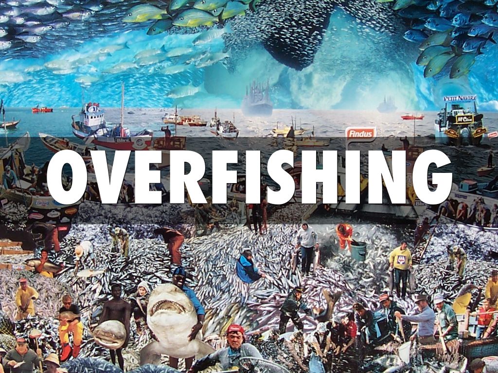 Overfishing 