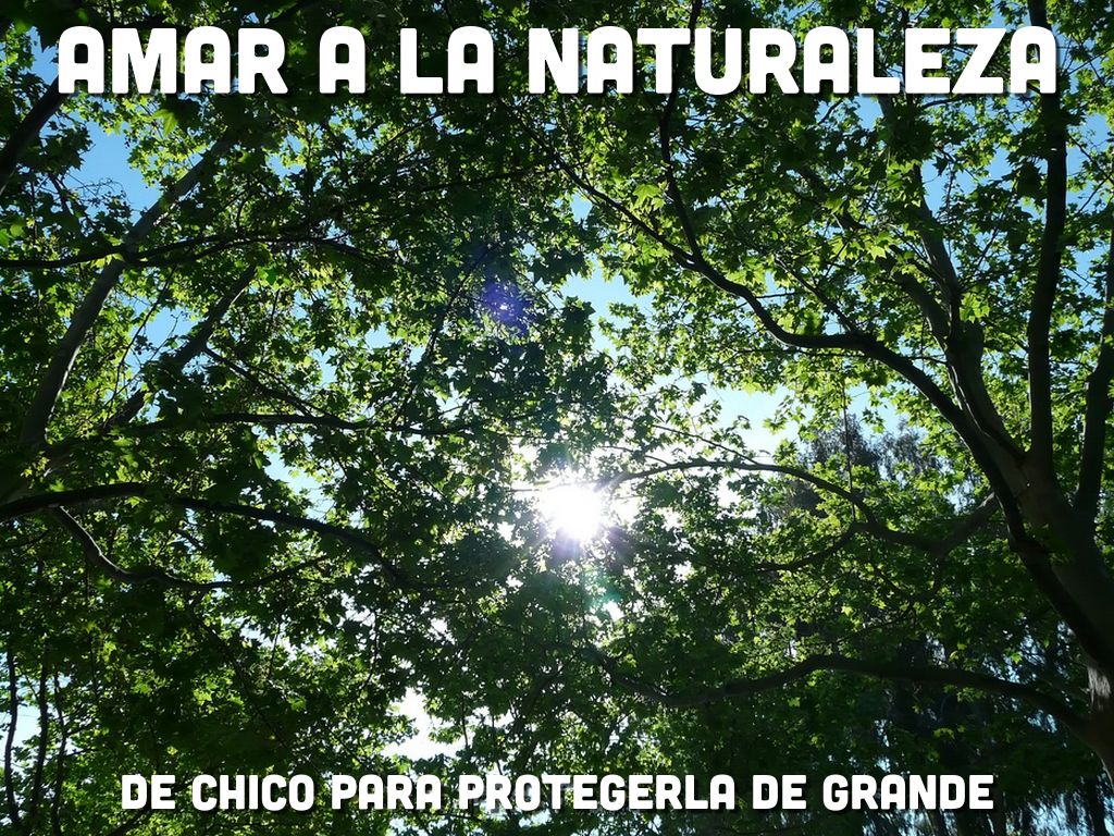 AMAR A LA NATURALEZA by Dulce Hernández Jonguitud