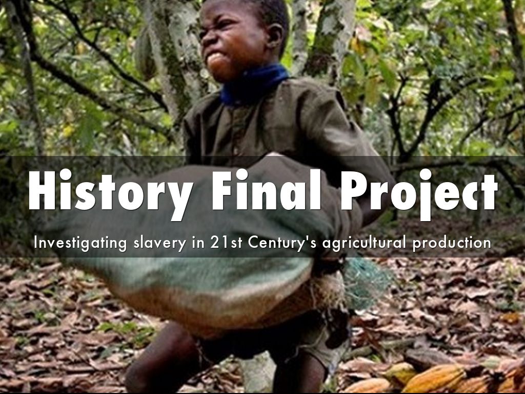 History Final Project