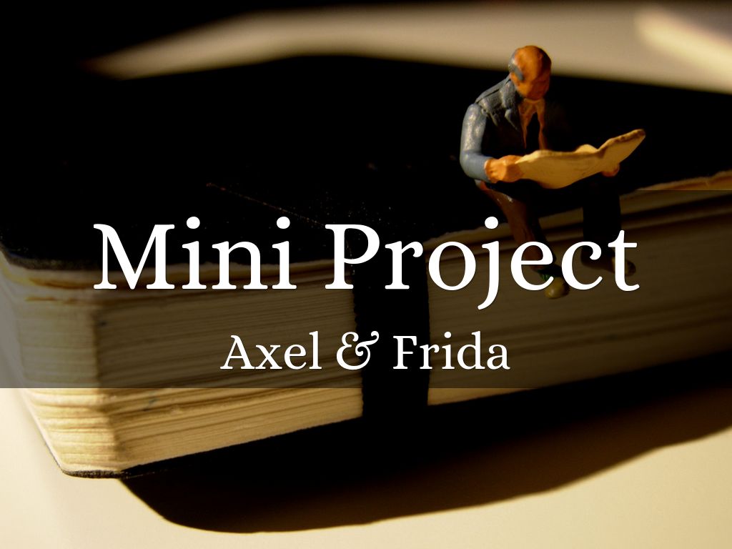 Mini project english