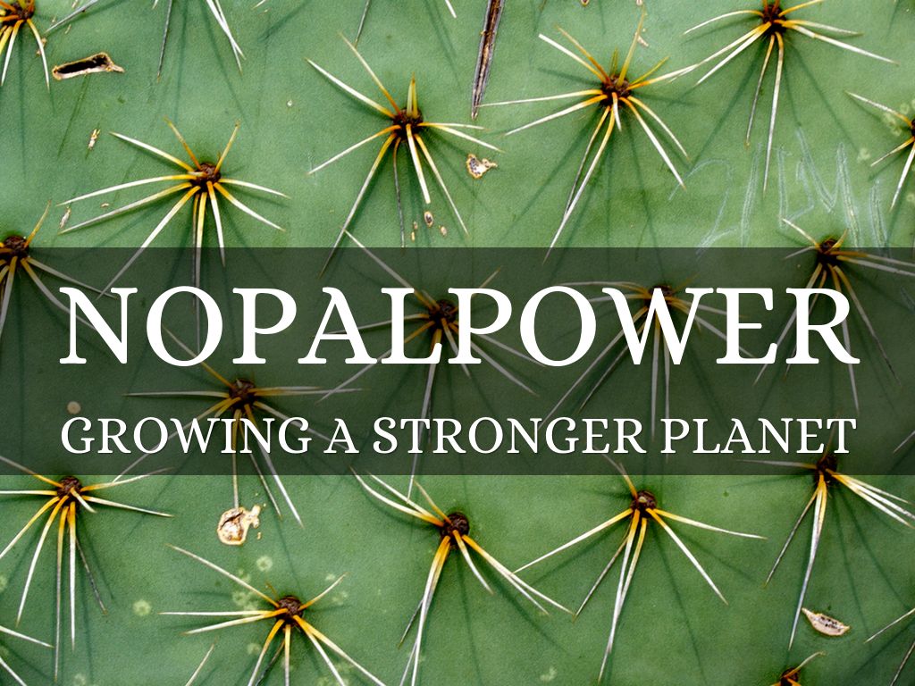 nopalpower