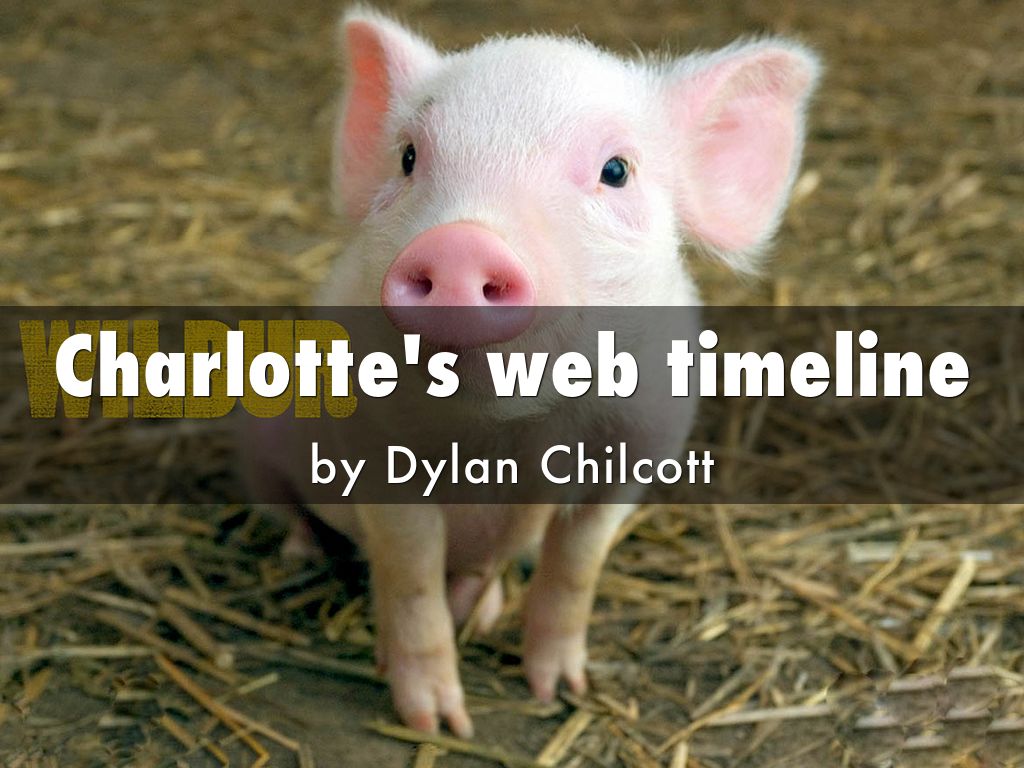 Copy of Untitled Haiku Deck