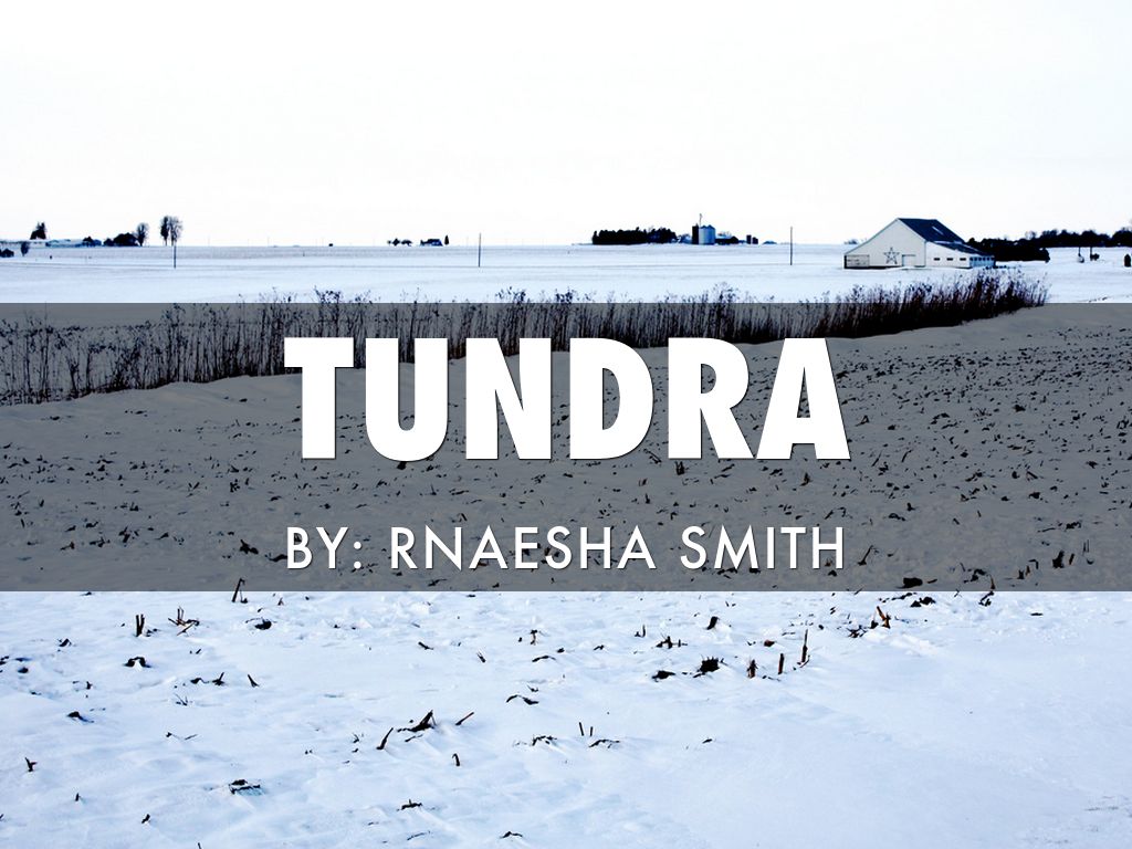Tundra