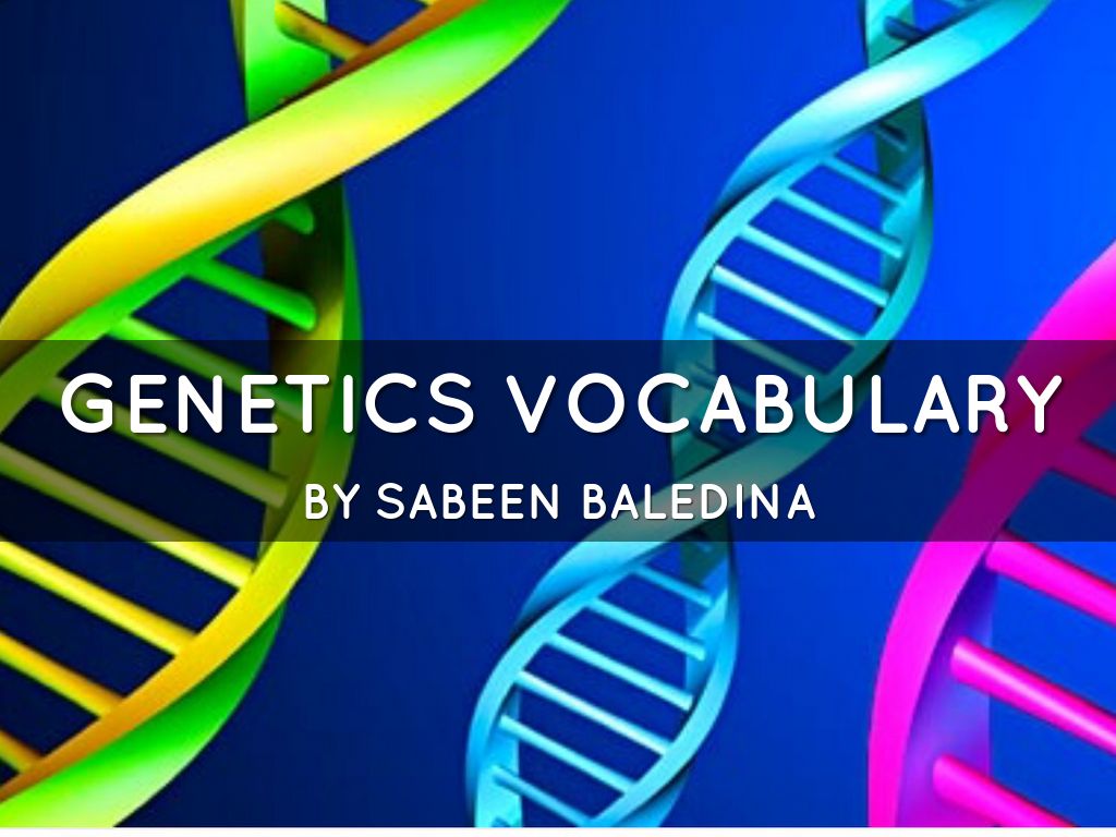 Genetics Vocabulary 