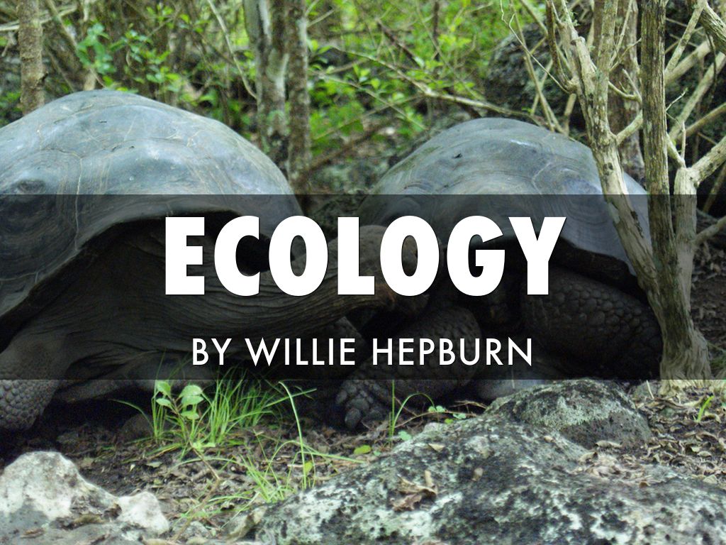 Ecology 