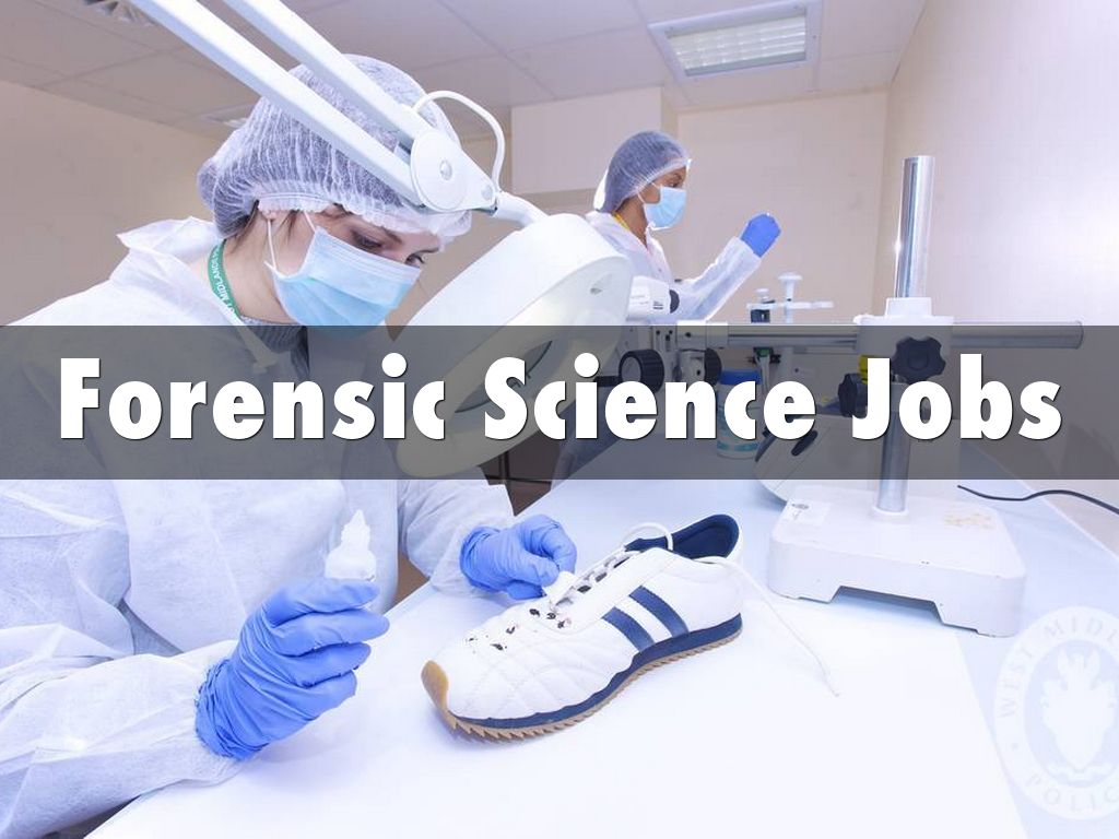 forensic-science-jobs-by-hayde-blando