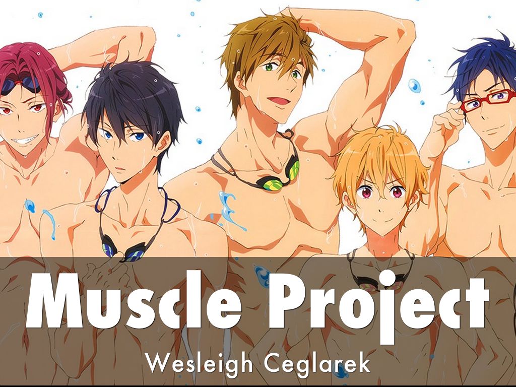 Muscle project 