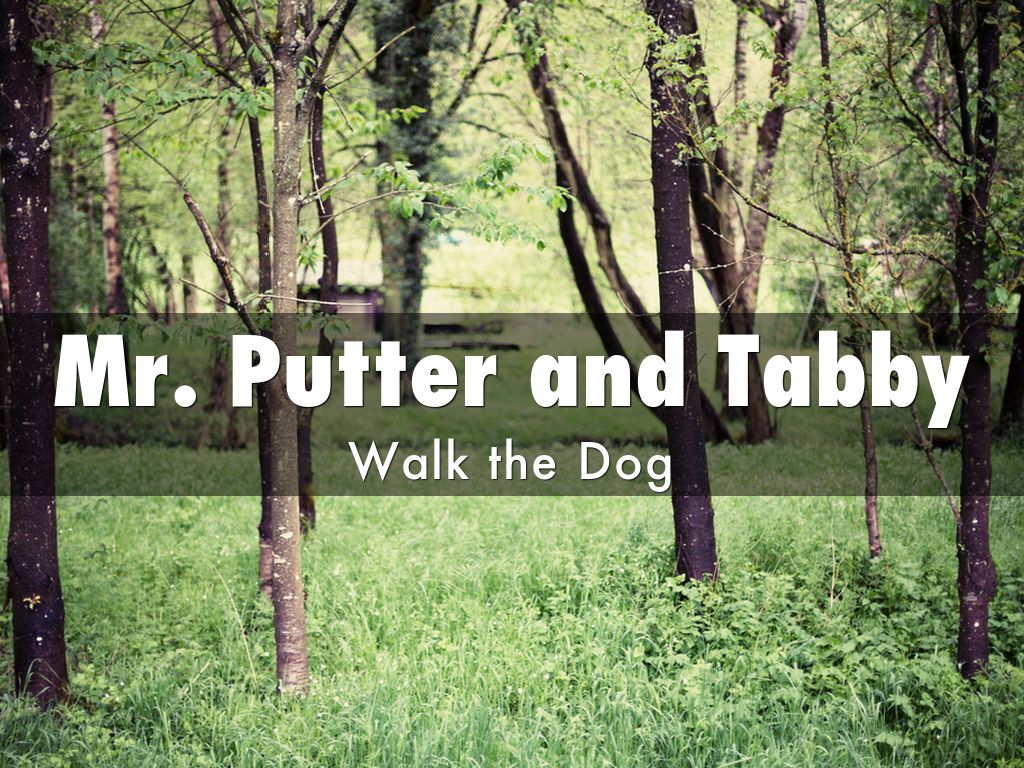 Mr. Putter and Tabby