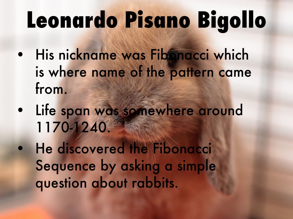 leonardo pisano and the fibonacci sequence leonardo pisano and the fibonacci sequence