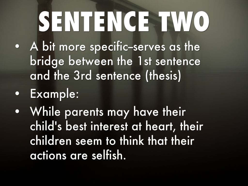 StepByStep Essay Structure by Shelby Williams