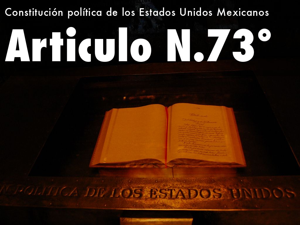 Articulo N.73°
