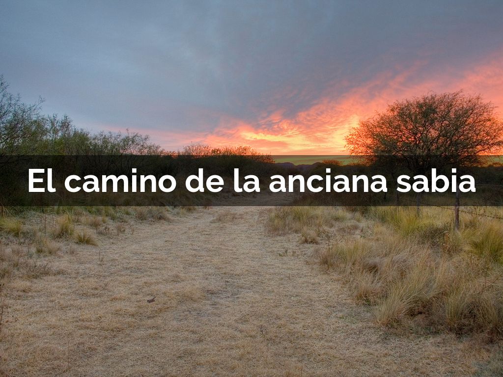 El Camino De La Anciana Sabia
