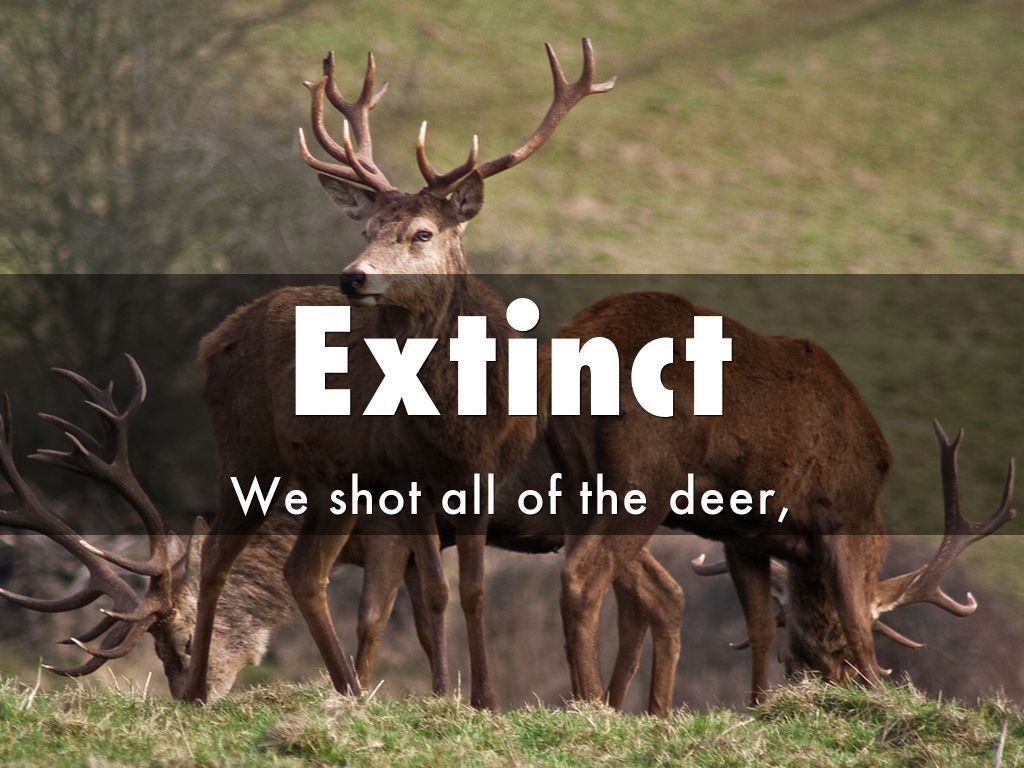 Extinct