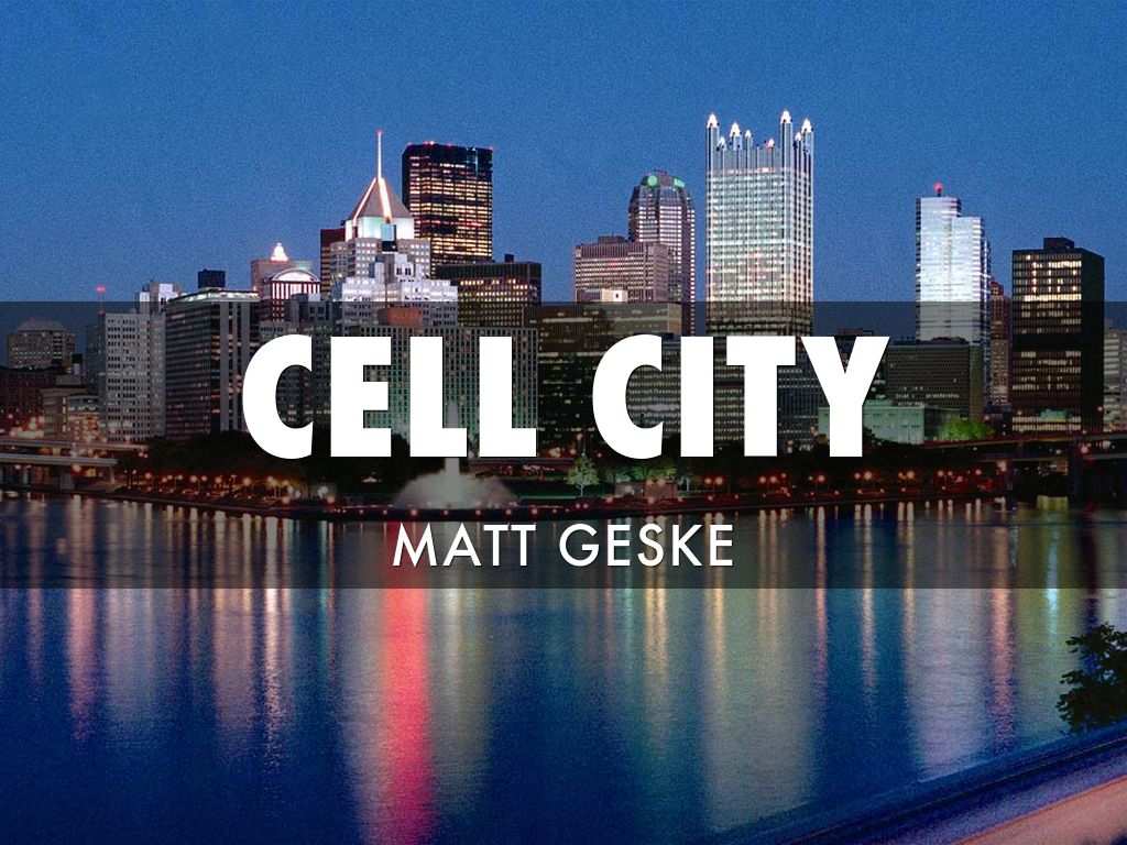 Cell City