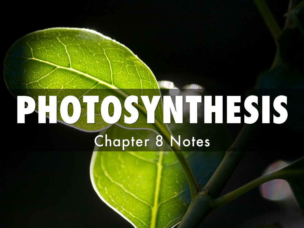 PHOTOSYNTHESIS
