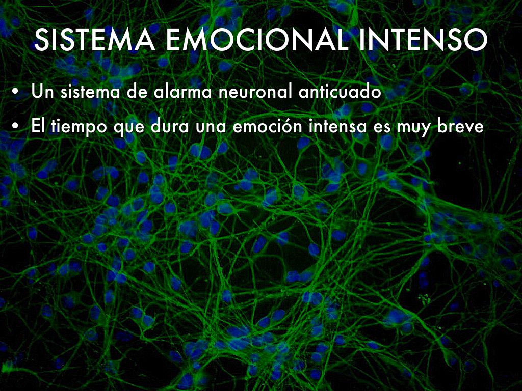 Como nos afectan las emociones by tambienmellamolalo