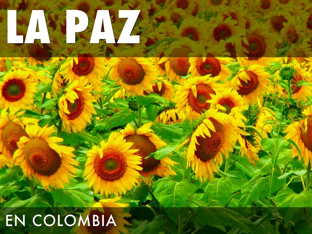 LA PAZ