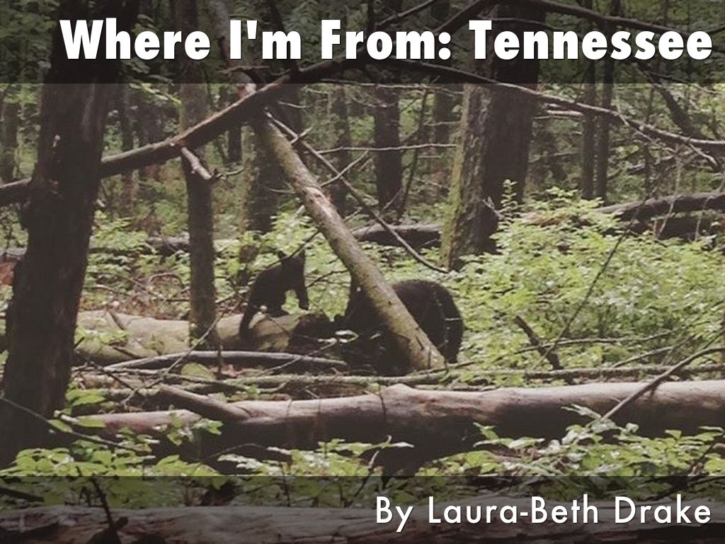Where I'm From: Tennessee