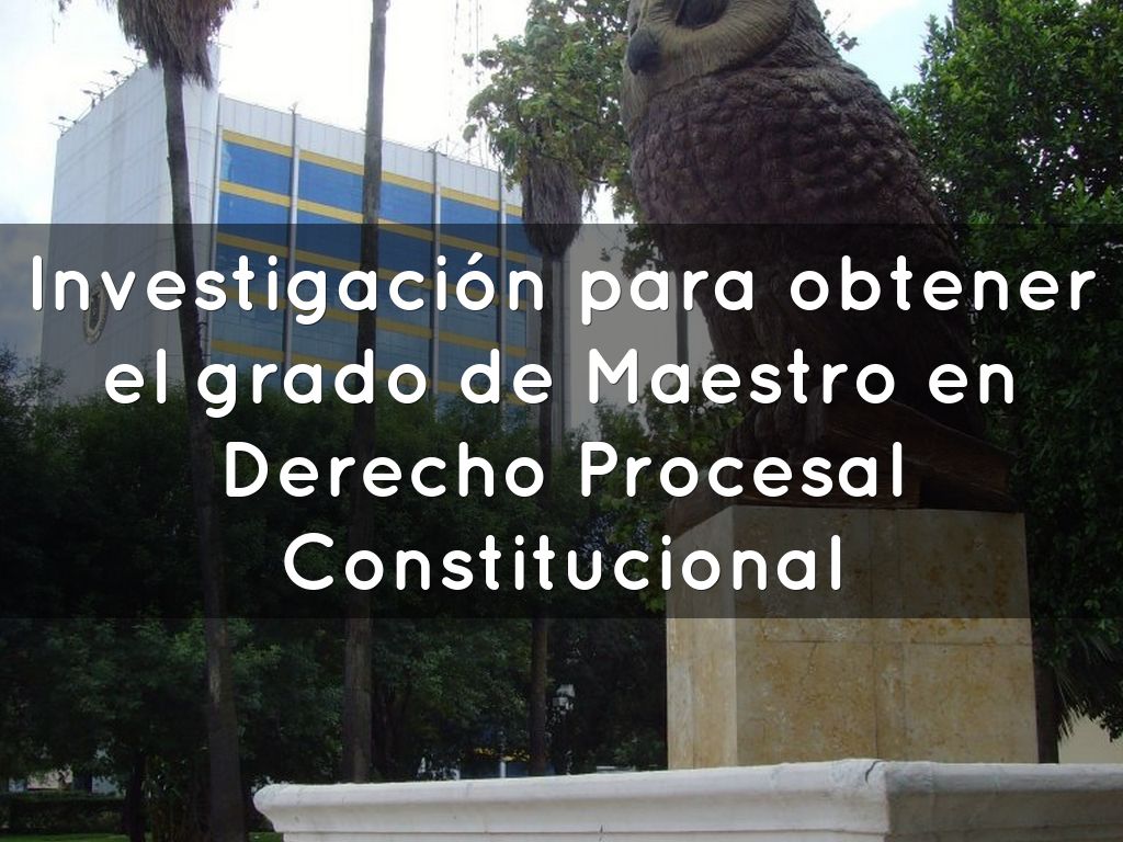 COPIA DE Expectativas del Expediente Electronico de Amparo