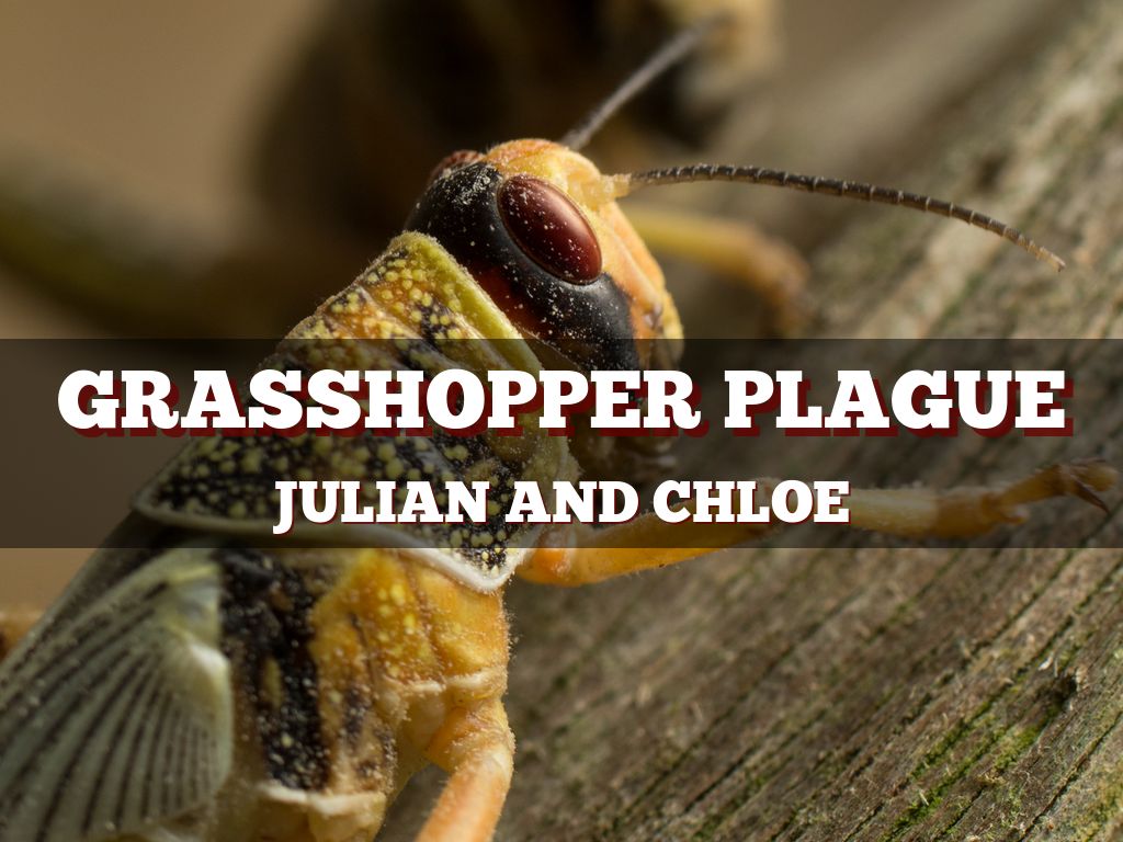 Presentations and Templates by Chloe Bitney