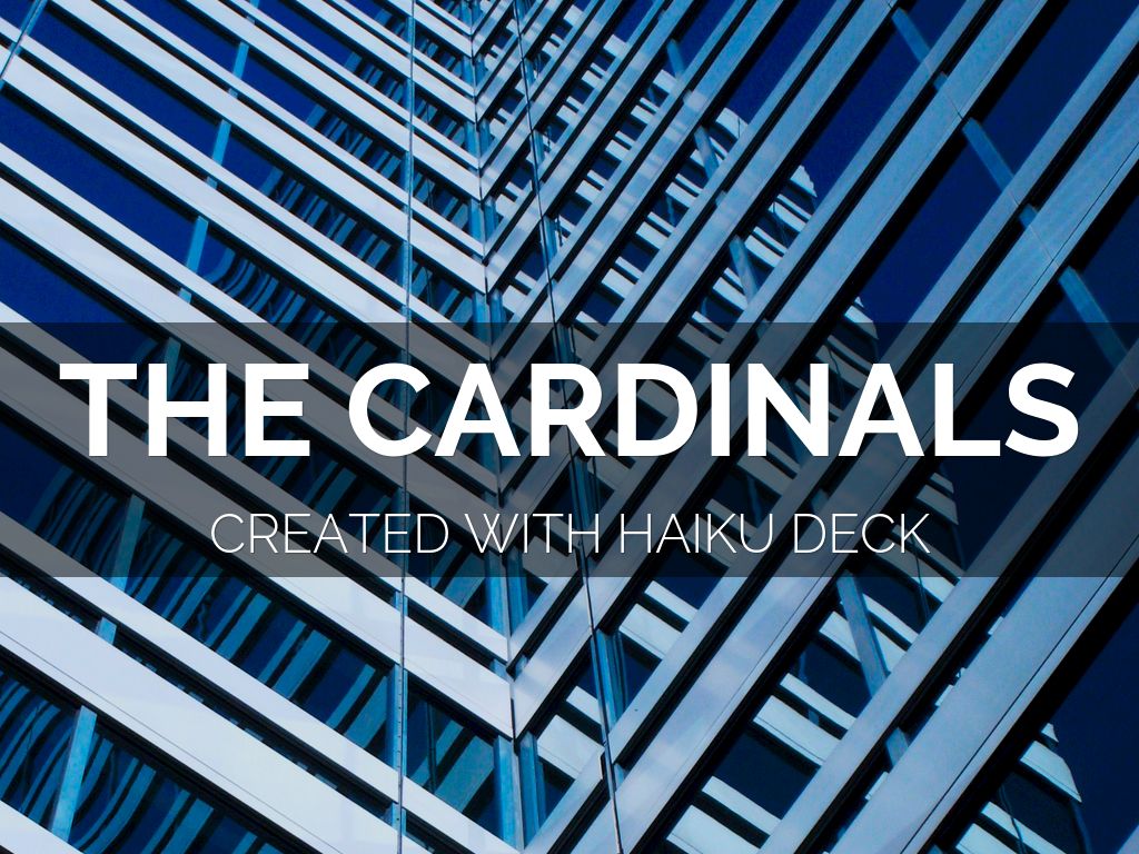 Copia de Professional Profile Template