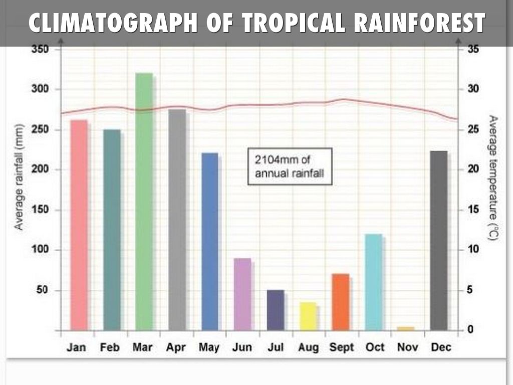 Amazon Rainforest Climate Temperature And Rainfall At Christina 